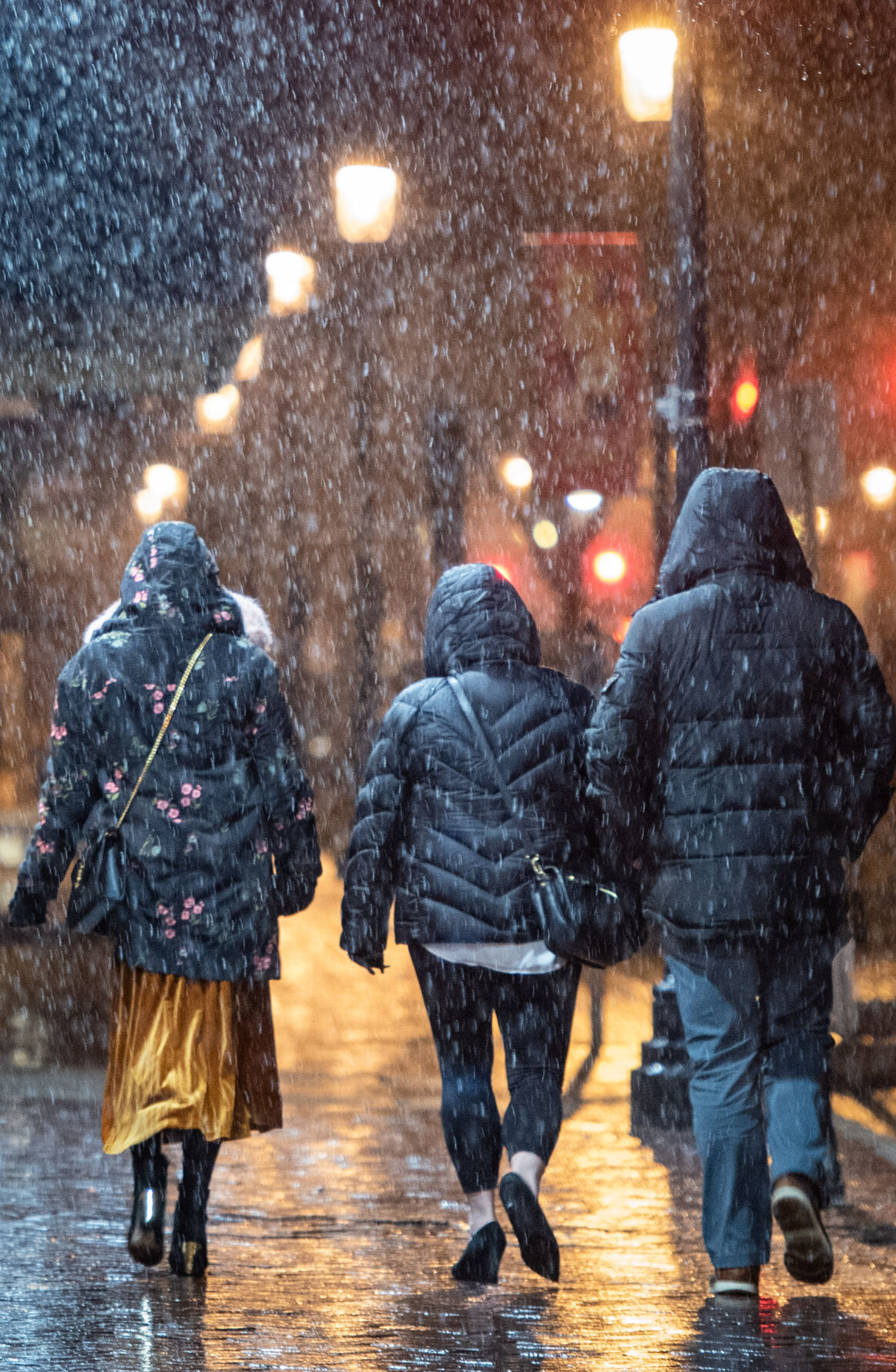 Snowfall in Downtown Winston